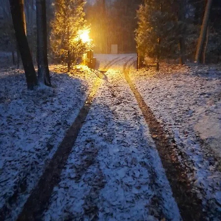 Σπίτι διακοπών Kokoon In 't
