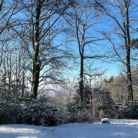 Holiday home Kokoon In 't *